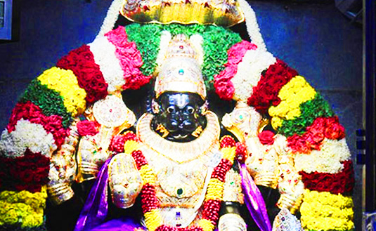 balaram-purnima-img